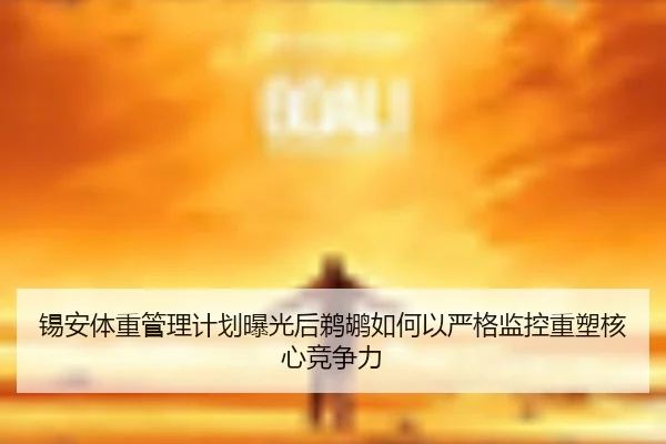 锡安体重管理计划曝光后鹈鹕如何以严格监控重塑核心竞争力